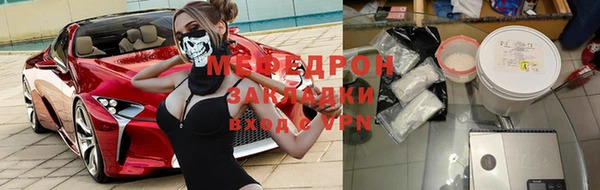 прущие грибы Елизово