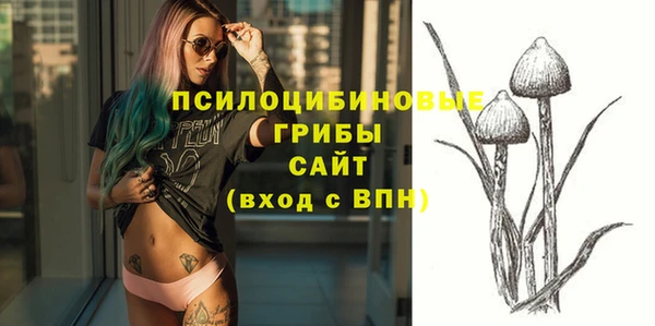 СК Ельня