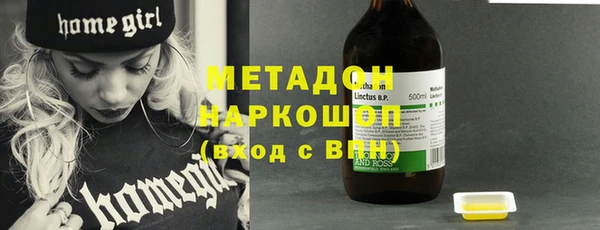 прущие грибы Елизово