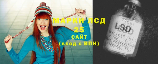 СК Ельня
