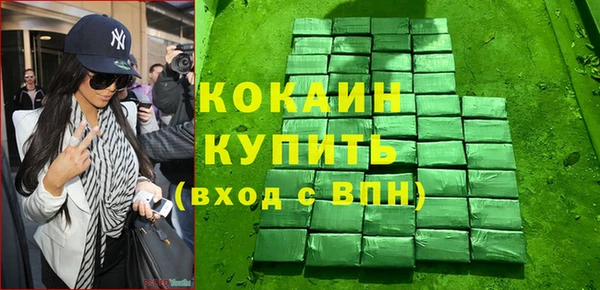 СК Ельня