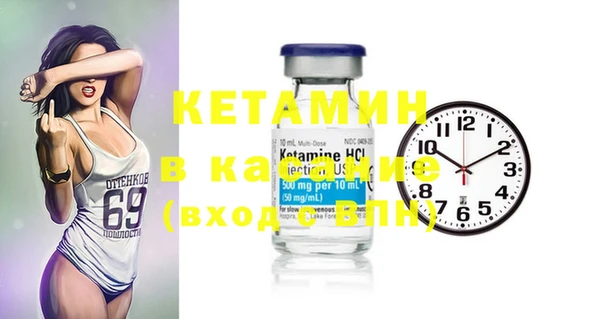 прущие грибы Елизово