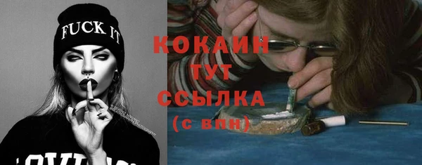 СК Ельня