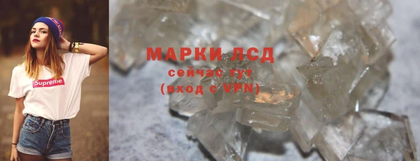 прущие грибы Елизово
