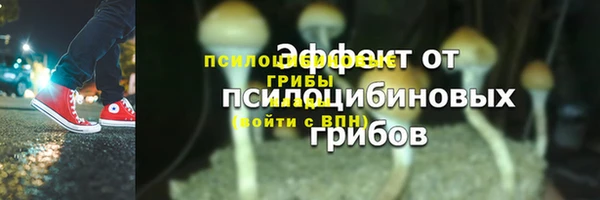 кристаллы Заводоуковск