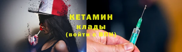 СК Ельня