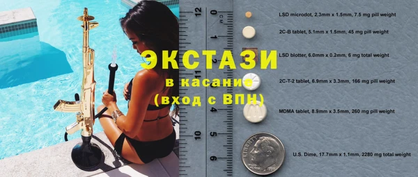 СК Ельня