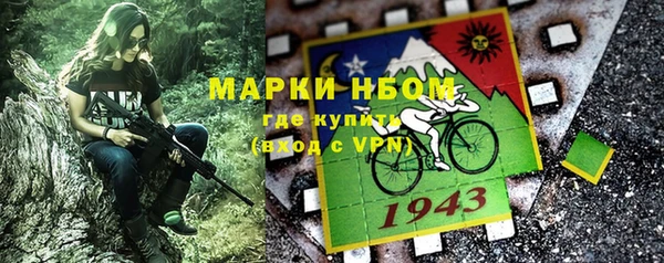 прущие грибы Елизово