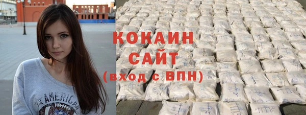 СК Ельня