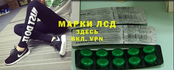 прущие грибы Елизово