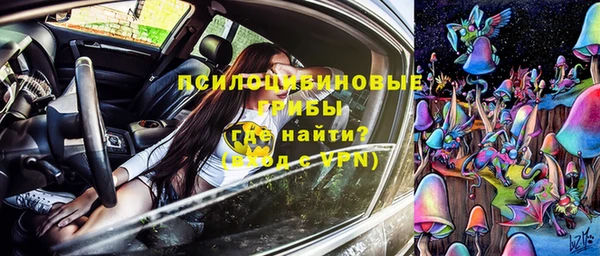 СК Ельня