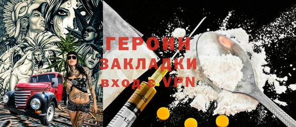 СК Ельня