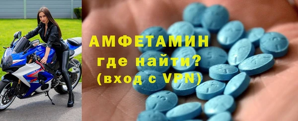 прущие грибы Елизово